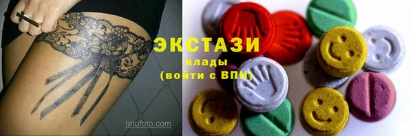 индика Инсар
