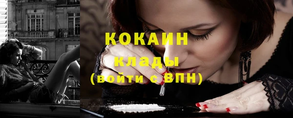 хмурый Алзамай
