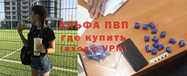 хмурый Алзамай