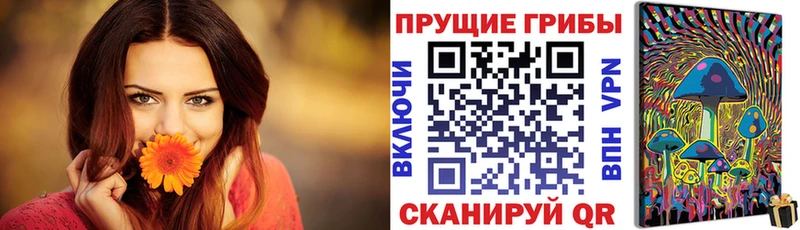 Псилоцибиновые грибы Magic Shrooms  kraken зеркало  Любим  закладки 